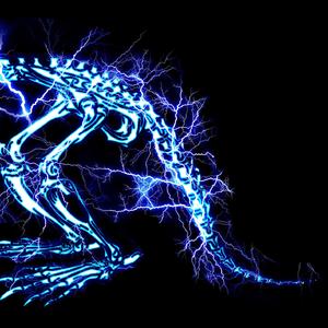 中国体育生导管
