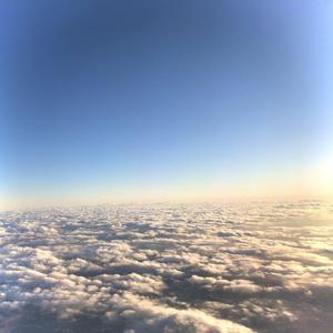 中国体育生导管
