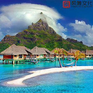 中国体育生导管
